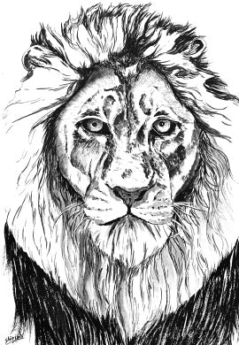 Dibujo retratos de animales con bolígrafo y tinta
